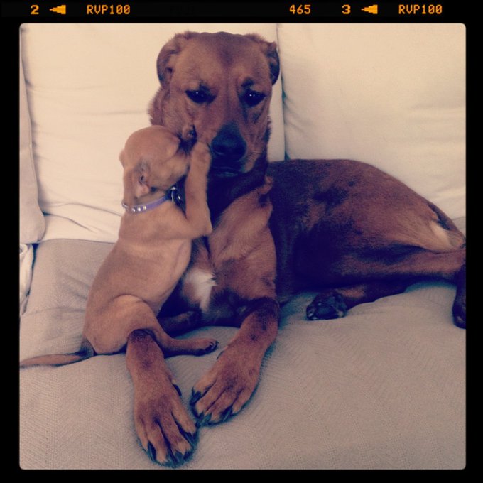 Watch Samantha Raye Tomchik's leaked NSFW photo on TwXstars