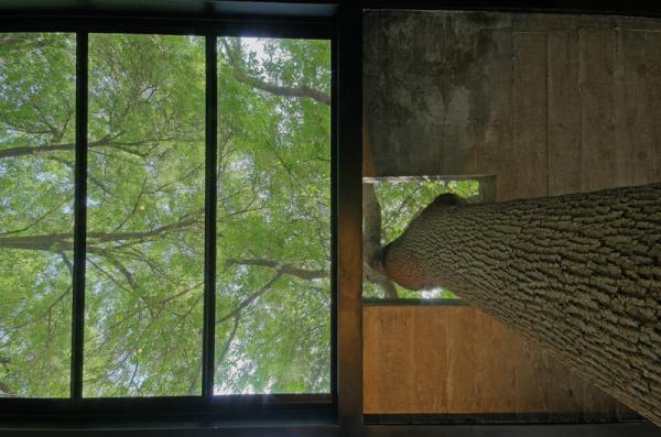 vwarquitectos's tweet photo. Respecting nature.
Steel+concrete+glass+nature. http://t.co/ctpAwrKa