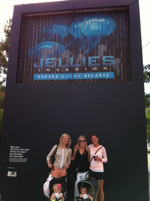 Ann Pierce tweet media