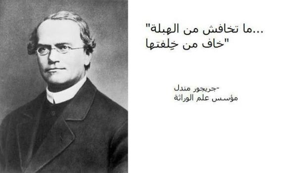 dr_islam1971's tweet photo. http://t.co/RRYubXhx