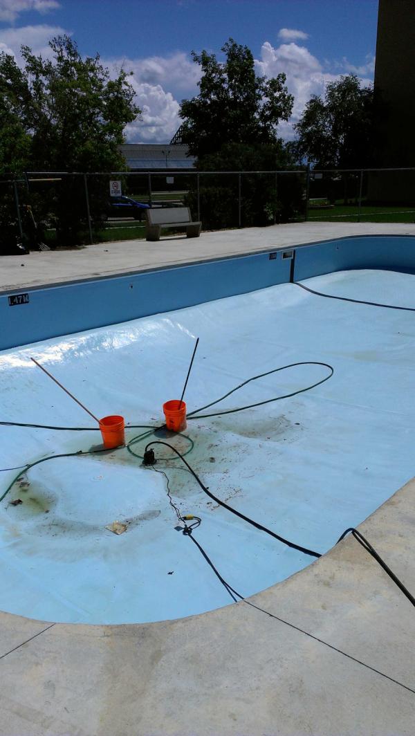 BryanZacharias's tweet image. Forgot it was like to feel the burn of chlorine on the legs. #poolboyproblems