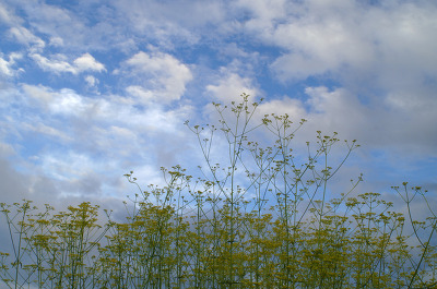 매일 읽는 한줄공감 (@slove1213) on Twitter photo 