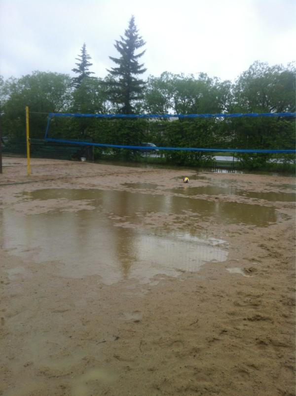 Louis' Volleyball tweet media