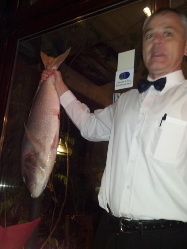 pevach_va's tweet photo. #neprocenjivo kad klopas sveze spremljenog zubaca od 7 kg. na obali mora http://t.co/CPlkAWyy