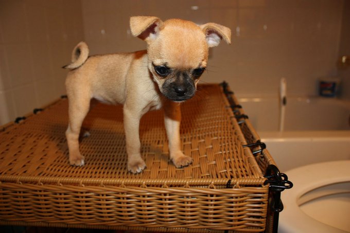 Watch Samantha Raye Tomchik's leaked NSFW photo on TwXstars