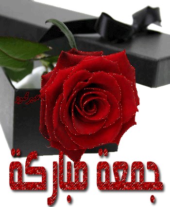 123Sanm's tweet photo. http://t.co/6GCBcfbe
