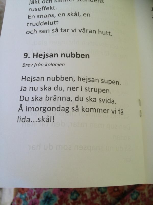 dukanvatjock's tweet image. Nubbe o sångblad! #midsommar #nubbe #sommar