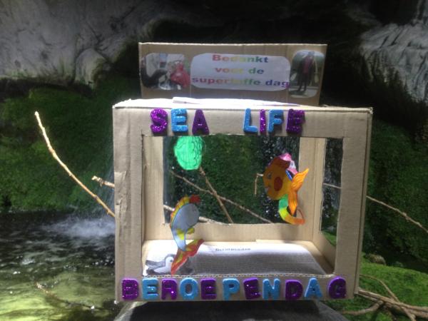 SEA LIFE Bl'berge tweet media