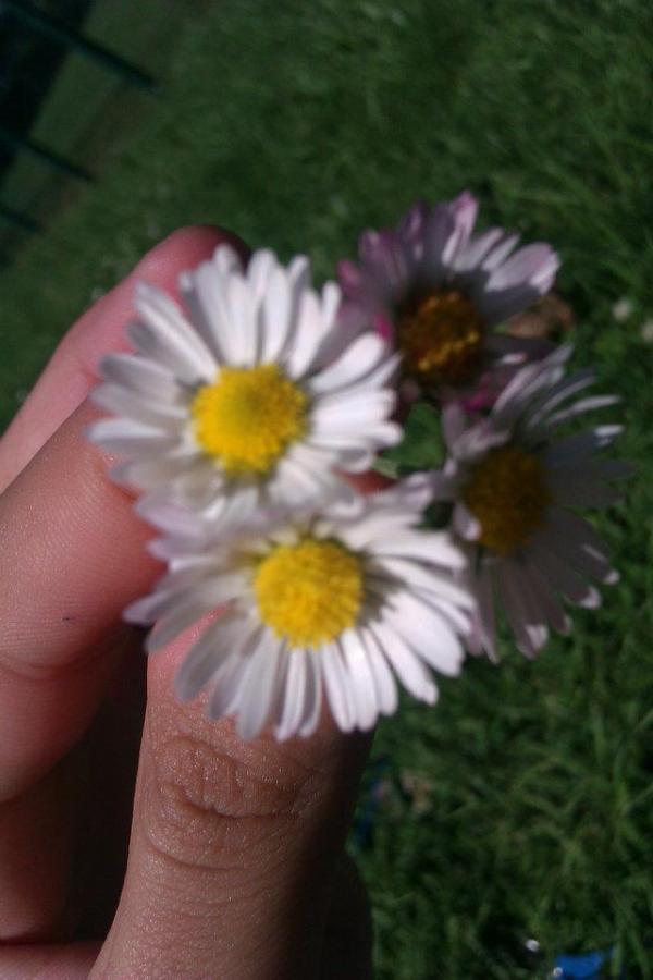 yasar_busra's tweet photo. http://t.co/g84i1Daw