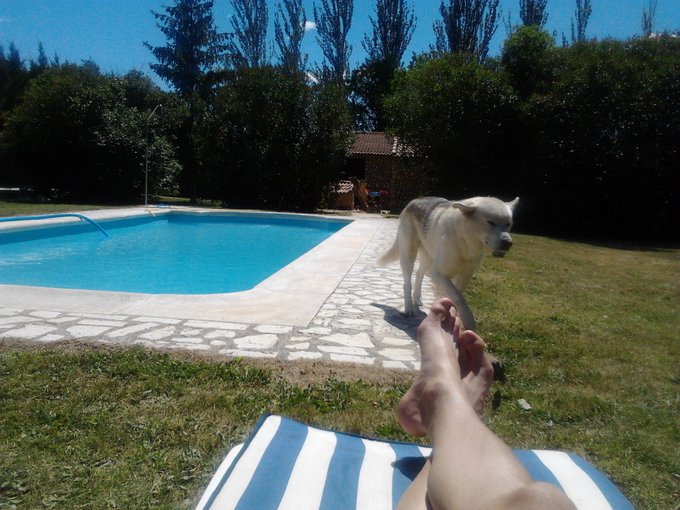 Watch PABLO FERRARI's leaked NSFW photo on TwXstars