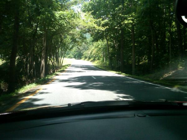 mkasold18's tweet image. #naturecheck