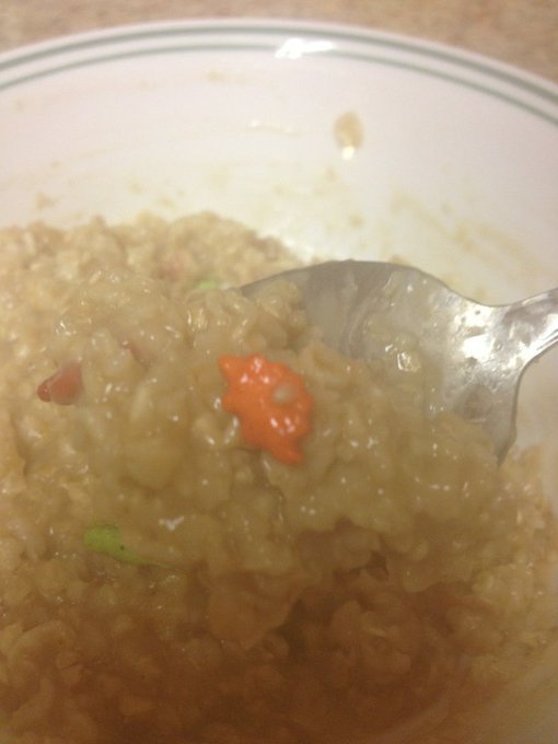 There are dinosaurs in my oatmeal. http://t.co/YZJZVYpy<a href="/tag/roadtrip"class="tags"><span>#roadtrip</span></a><a href="/tag/wereinoregon"class="tags"><span>#wereinoregon</span></a>