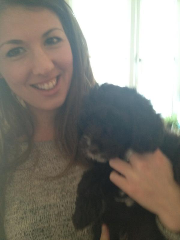 blue buffalo large breed puppy 30 lb