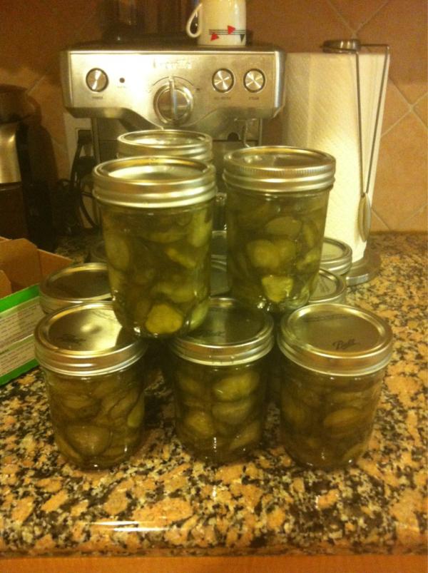 CathyBarrow's tweet image. Seven day sweet pickles. Day seven. #Canvolution