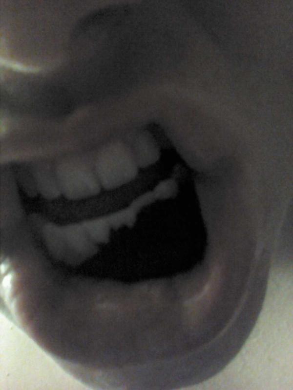 BaseballDipper's tweet image. In honor of my first follower @Phatty_Lipps .. RT and help me get this account rollin'? #GrizzGreen