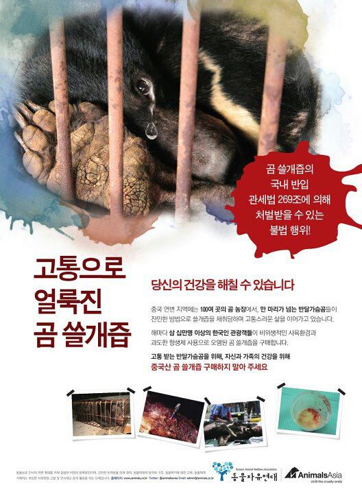 610demian's tweet photo. 동물의 고통에 대한 무관심은 그것을 접할 기회가 없었기 때문인가? 혹은 그보다 더 중요한 일이 세상에 더 많아서일까? http://t.co/hw6XHqXC