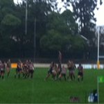 Photo by Gordon RFC (@GordonRugby)