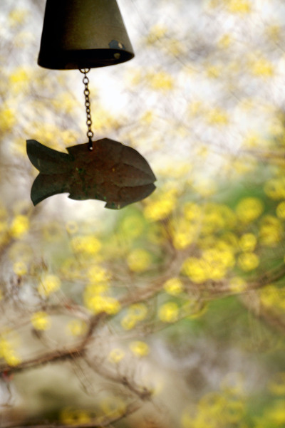 매일 읽는 한줄공감 (@slove1213) on Twitter photo 