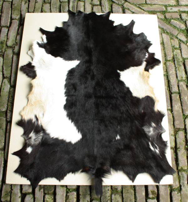 SBRMHAN's tweet photo. SBRM-studenten van alle markten thuis “@NGeertsen #decoratieve #huiden in verschillende maten en kleuren #LederstoreNL http://t.co/rI6Zxgqs”