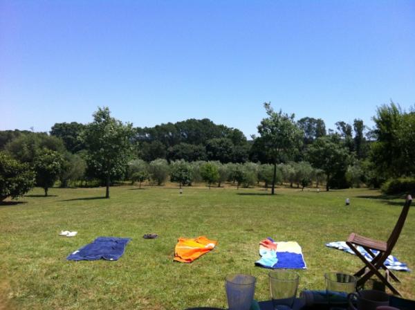 dvanlooij's tweet image. In spanje voor de mooiste bruiloft allertijden. Nog even lekker in de zon.