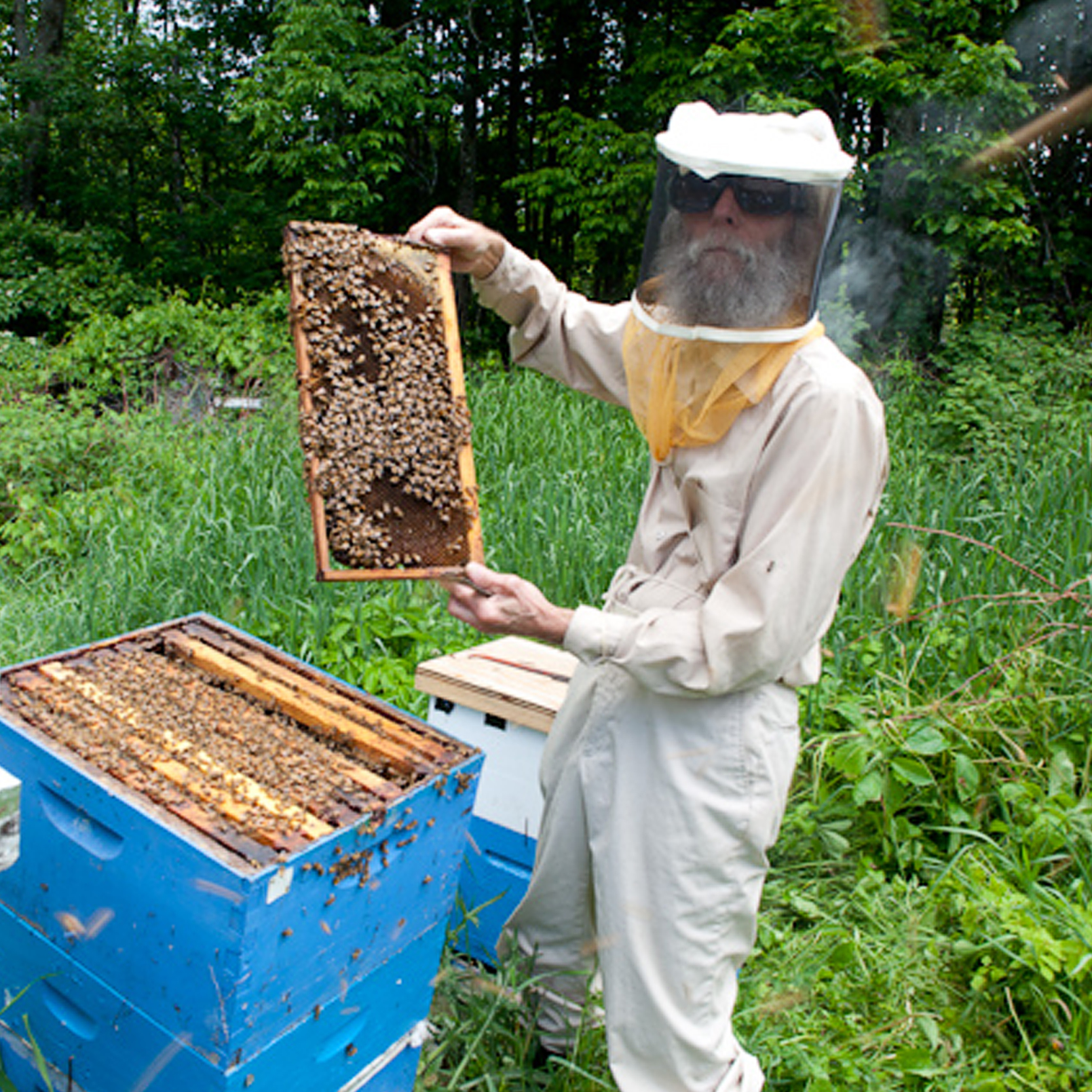 Burt's Bees on Twitter "Did you know that Burt Shavitz (yes, that Burt