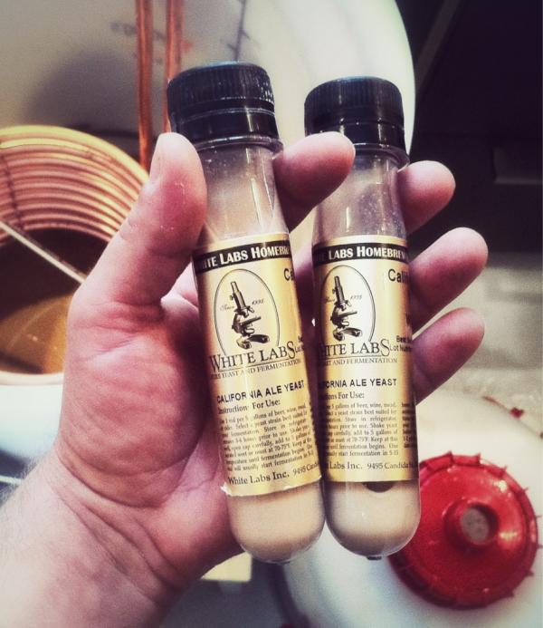 pedert's tweet photo. #IPA coming up, om en måned! #øl #hjemmebrygg http://t.co/RRc8NQvJ