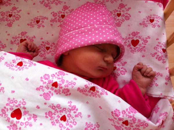 daniel rense tweet media