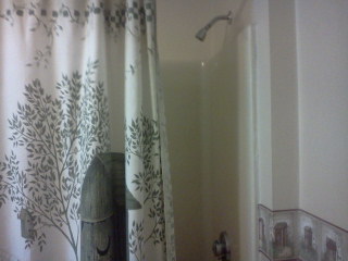 KaylaSouza's tweet image. Oh how i missed this shower #survivalproblems