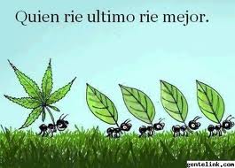 pasateloya tweet picture