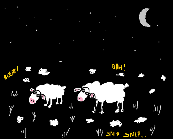 saffronsound's tweet photo. shearing sheep in the silvery moonlight http://t.co/C7MMvZiE