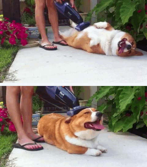 편안한 휴일 건강한 자기관리하세요~ *^^*