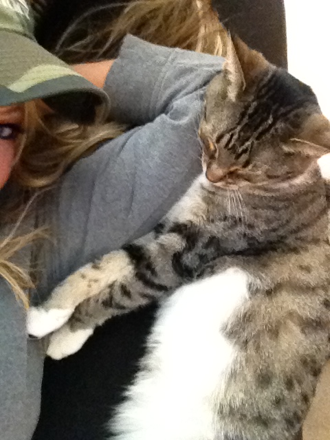 Kitters totally loving on me http://t.co/mJjjWjh6