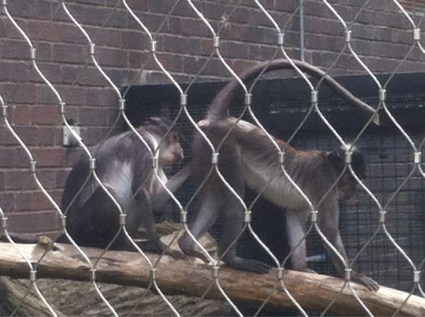 danallington's tweet image. @krisallington @slimlinepenny @_moneypenny @OgleDavid #whatarematesfor