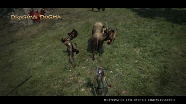 tinymecha's tweet image. My main pawn from Dragon's Dogma.=&amp;gt;Freja/Lv.12/Female/Fighter game.capcom.co.jp/DD/en/pawn_det…
