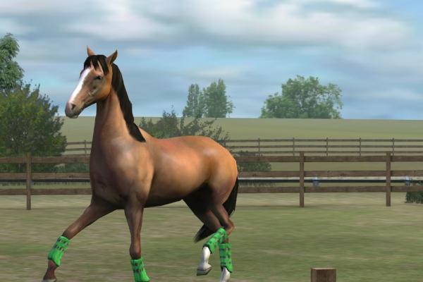 EdsonRibeiro26's tweet photo. Confira a minha foto! Adicione-me, EdsonJr. #MyHorse http://t.co/R377kH9e mm@ http://t.co/KikHbVlD