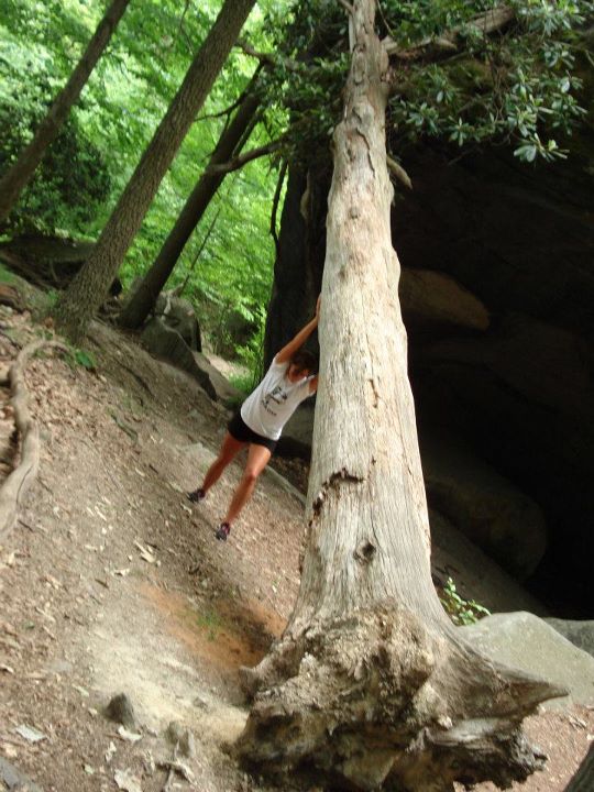 Yay_itsRoseEee's tweet image. I lift heavy stuff