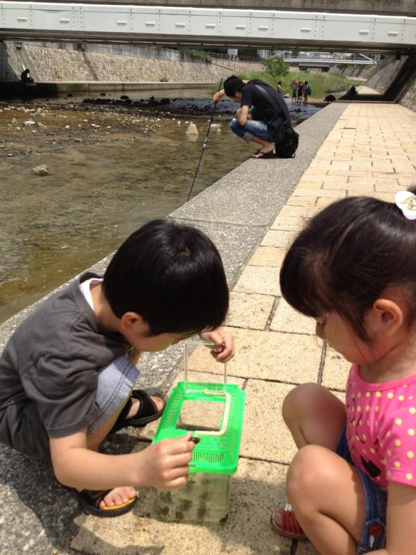 rojiyua's tweet photo. 住吉川に魚探しにきた。笑 http://t.co/FnUGMYVI
