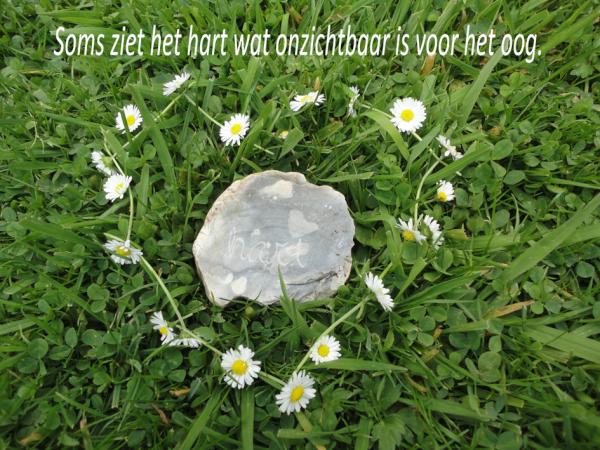 Persoonlijker's tweet photo. Regen, rustig wachten. De zomer komt en het gras groeit vanzelf. Hartelijk! http://t.co/r5NhrC1n