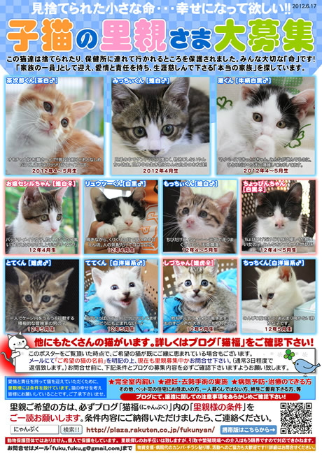 ふくちゃん (@nyan_fukuchan)  Twitter