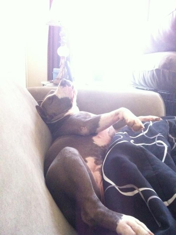 NJsFirstLady's tweet image. ❤