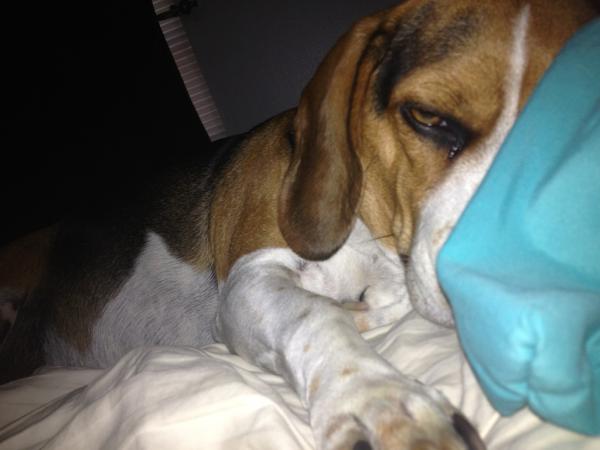 BlogOfMySecrets's tweet image. So much love :)