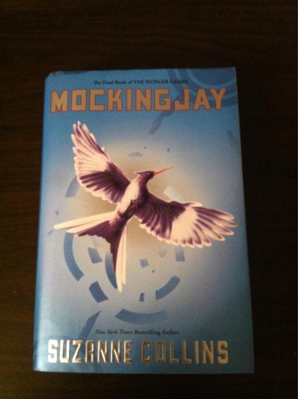 tigerlinyc's tweet photo. Finally done. Not bad.. #HungerGames http://t.co/LtKTHZ5K