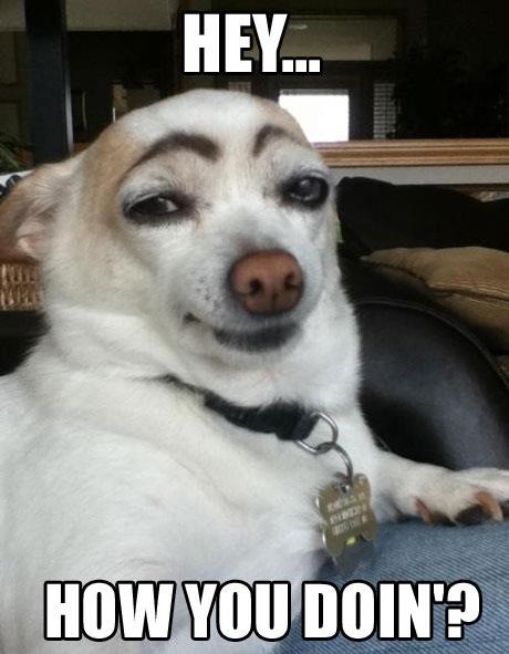a0a1's tweet photo. Hahahaha aweeeeee http://t.co/6ZrORLbE