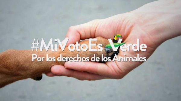 Pvem Sinaloa tweet media