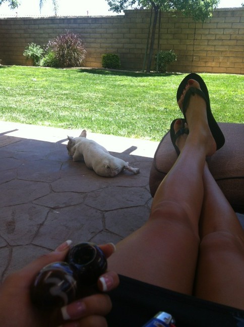 #chillin #weed #doggie #calisummerday. http://t.co/fsV7Dqa0