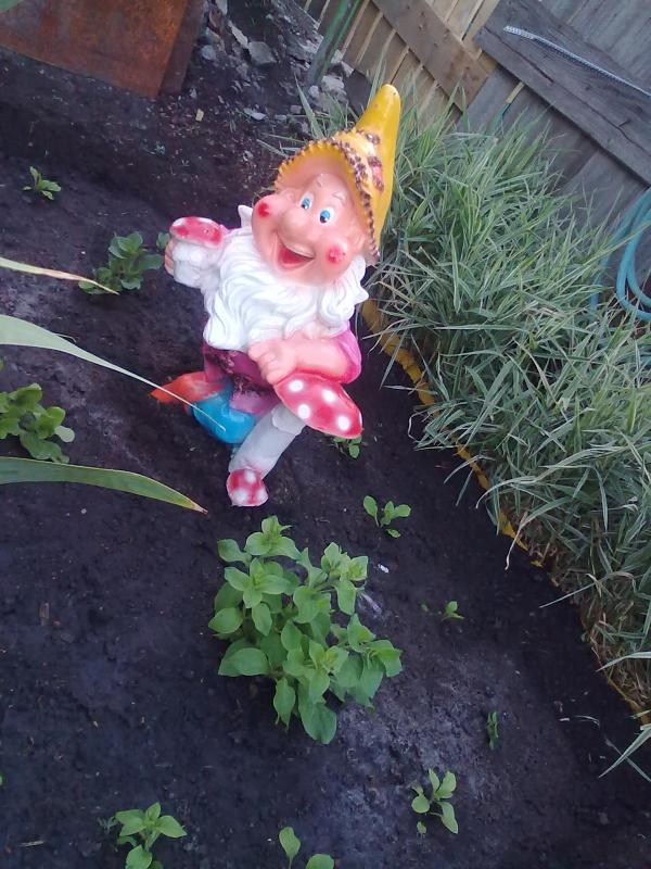 Isangalieva's tweet image. вот этот #гномик , теперь #охраняет наш #домик_)