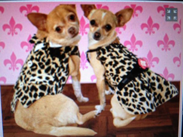TEMPORARYtracy's tweet photo. OMG look what mommy bought for us!!!! http://t.co/KufW7RCv