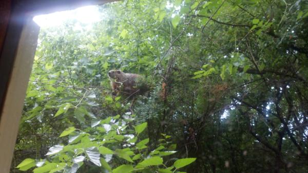 StormingImages's tweet image. A spy outside the office window...