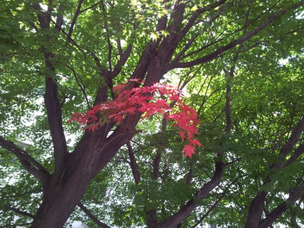 limkw64 tweet picture