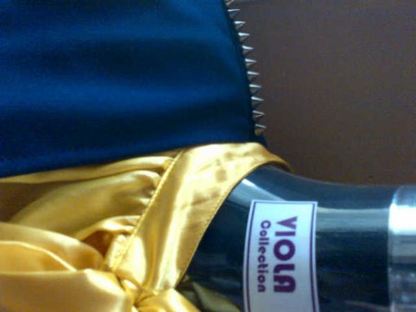 ViolaCollection's tweet photo. #ViolaCollection http://t.co/0h5iq6pp